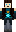 skin of a player