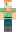 skin of a player