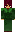 skin of a player