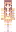 skin of a player