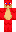 skin of a player