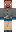 skin of a player