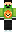 skin of a player