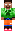 skin of a player