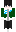skin of a player