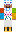 skin of a player