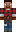 skin of a player