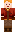 skin of a player