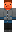 skin of a player