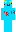 skin of a player