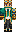 skin of a player