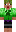skin of a player