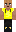 skin of a player
