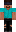 skin of a player