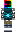 skin of a player