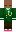 skin of a player