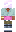 skin of a player