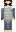 skin of a player