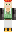 skin of a player