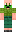 skin of a player