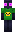 skin of a player