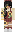 skin of a player