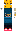 skin of a player