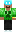 skin of a player