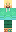 skin of a player