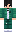 skin of a player