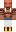 skin of a player