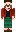 skin of a player