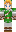 skin of a player