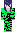 skin of a player