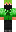 skin of a player