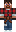 skin of a player