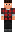 skin of a player