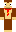 skin of a player