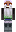 skin of a player