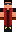 skin of a player