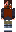 skin of a player