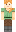 skin of a player