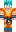 skin of a player