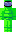 skin of a player