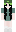 skin of a player