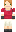 skin of a player