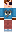 skin of a player