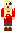 skin of a player