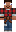 skin of a player