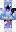 skin of a player